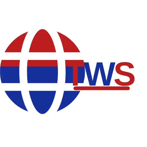 Thewallstreetsnews.online logo